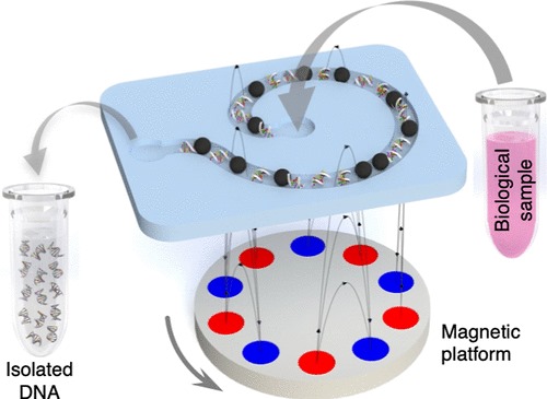 Novel 3D-Printed Microfluidic Magnetic Platform for Rapid DNA Isolation