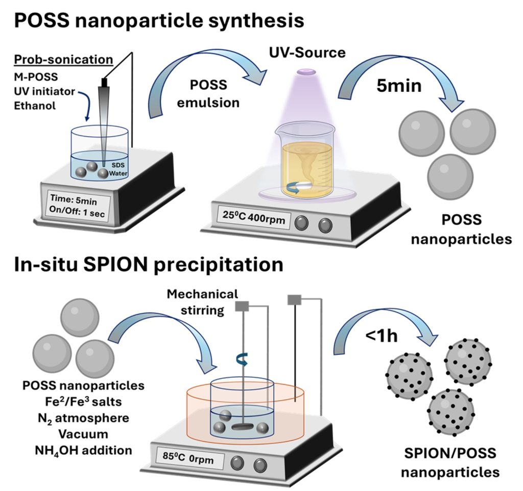 Ultrafast Green Synthesis of Superparamagnetic Hybrid Nanoparticle for Advanced Applications