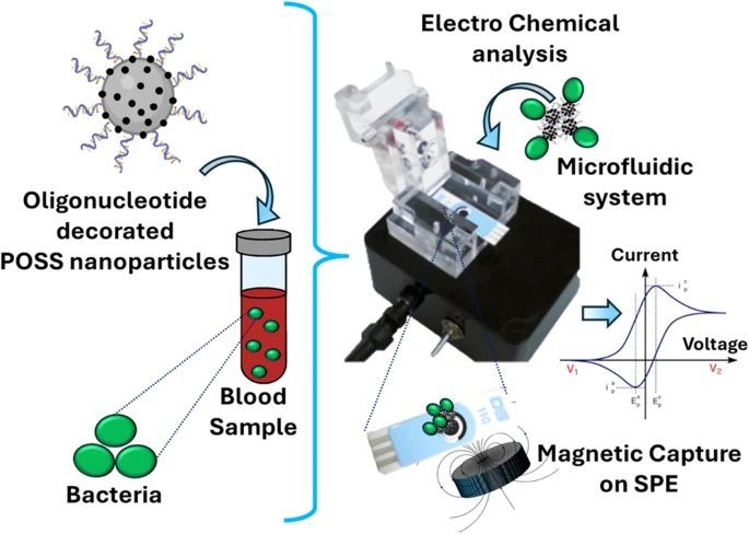 Magneto-electrochemical biosensing for pathogen detection using nuclease-responsive nanohybrids